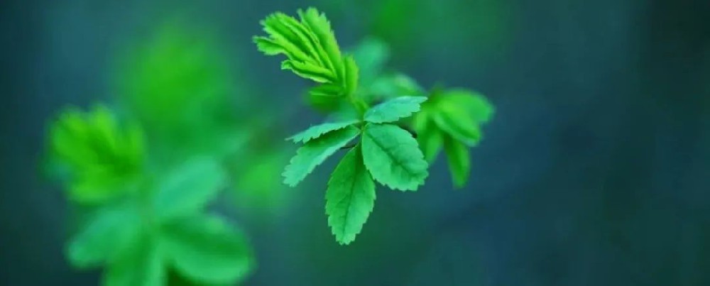 上好一节课，讲好一门课的课前九知与思考策略