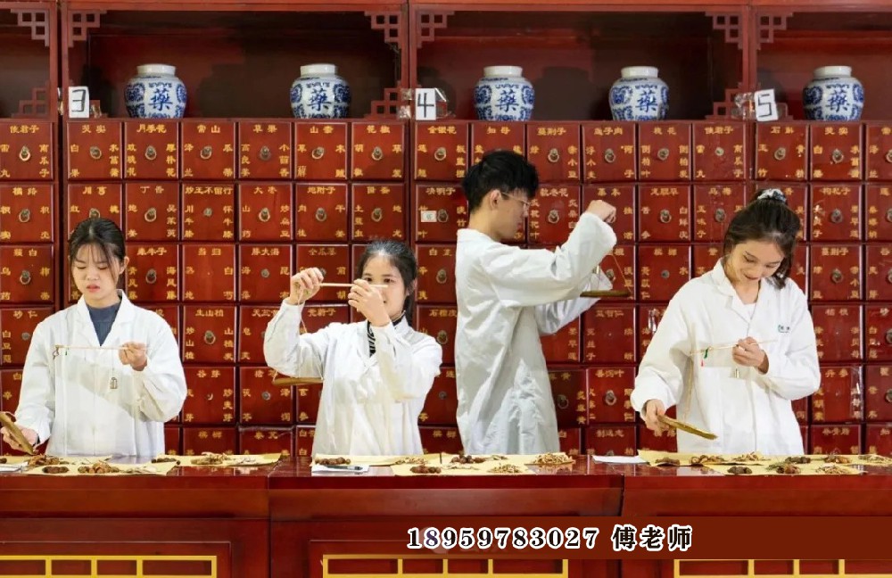 中药专业介绍